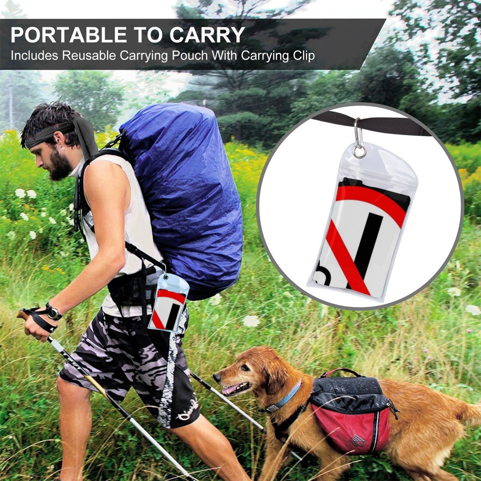 view
